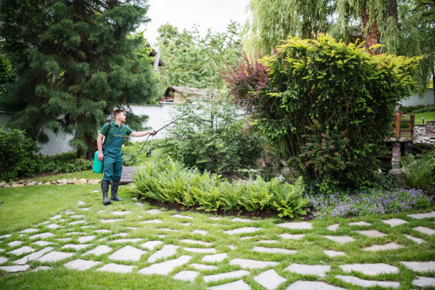Best Sod Installation  in Pacific, WA